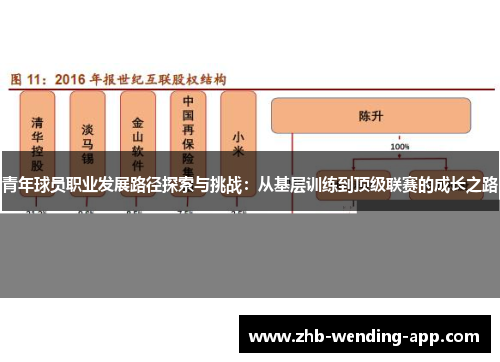青年球员职业发展路径探索与挑战：从基层训练到顶级联赛的成长之路