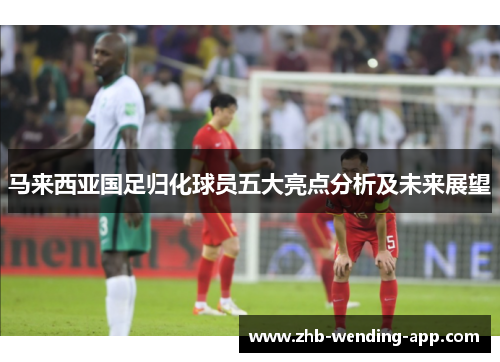 马来西亚国足归化球员五大亮点分析及未来展望