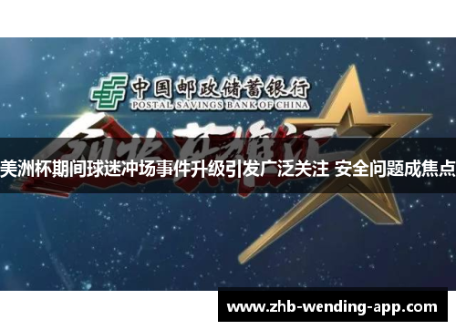 美洲杯期间球迷冲场事件升级引发广泛关注 安全问题成焦点